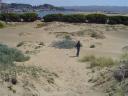 Shiloh and the Dunes