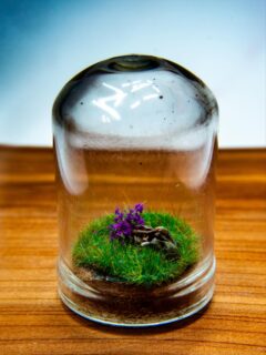 Glass Series Part 1: Renewal. This was my first go at using these 32mm glass vials as an artistic constraint. I envisioned an ork skull lying in a field a the flowers frowning out of it. I think the grass is a bit too long so it is hard to see the skull itself, but I learn some things which will improve my next attempt. #miniaturepainting #nurgle #orks #artwork #diorama